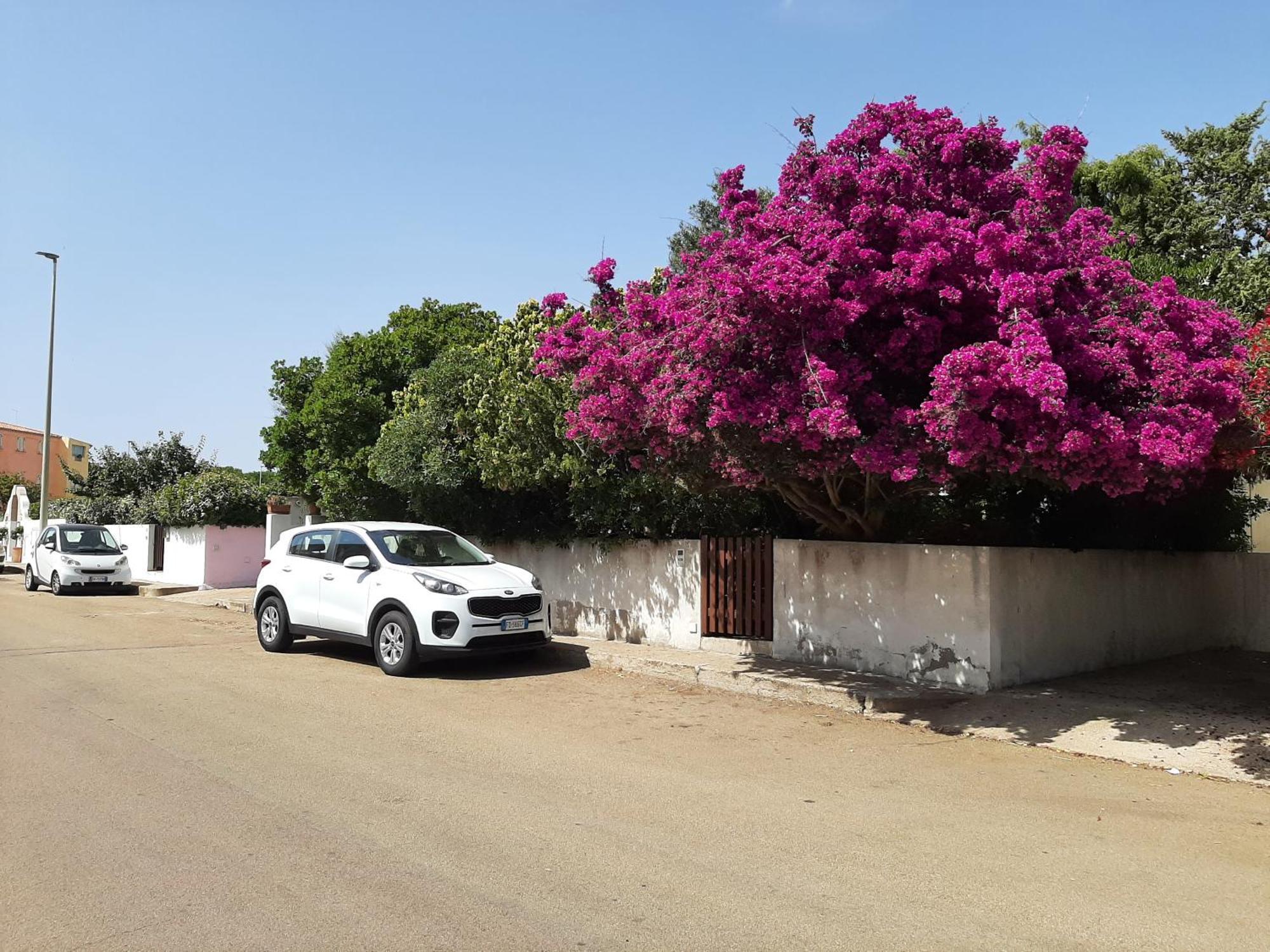 Bed and Breakfast Casa Di Paolo E Roberta Santa Teresa di Gallura Esterno foto